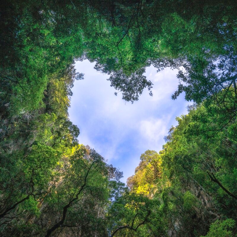 heart-shaped-photography-sky-rain-forest-nature-background